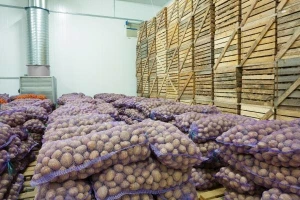 Nova fabrika šansa je za domaće proizvođače
