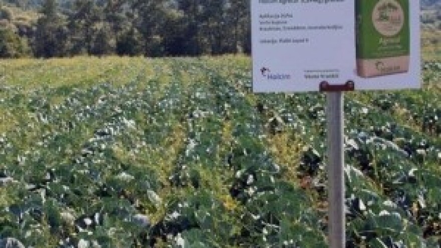 Znanje i rad u Lici plodonose