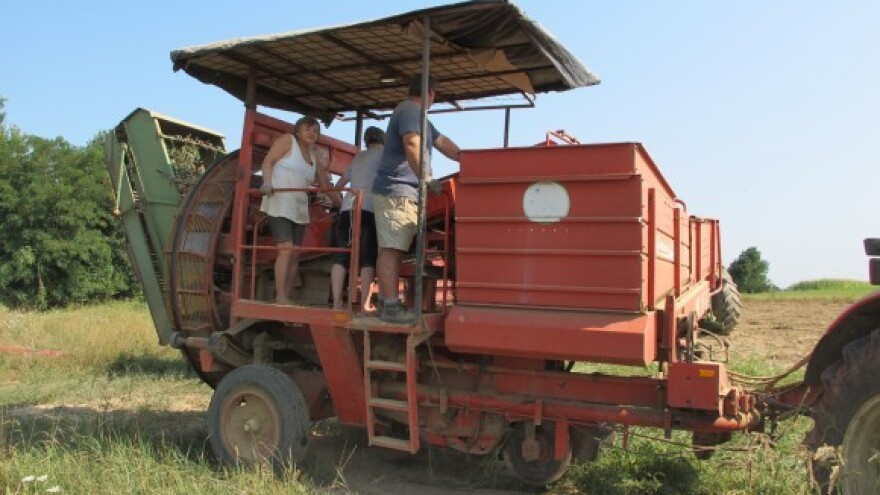 Franck i Intersnack osvajaju tržište čipsa