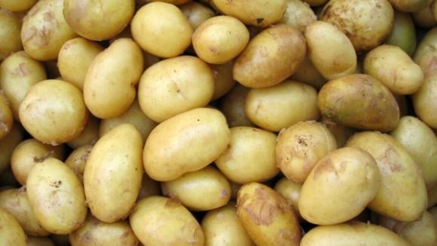 Dani polja krumpira u Čakovcima