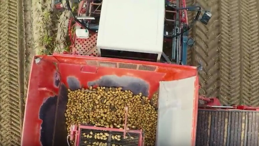 Belgijski krumpir uzgajat će se pod satelitom