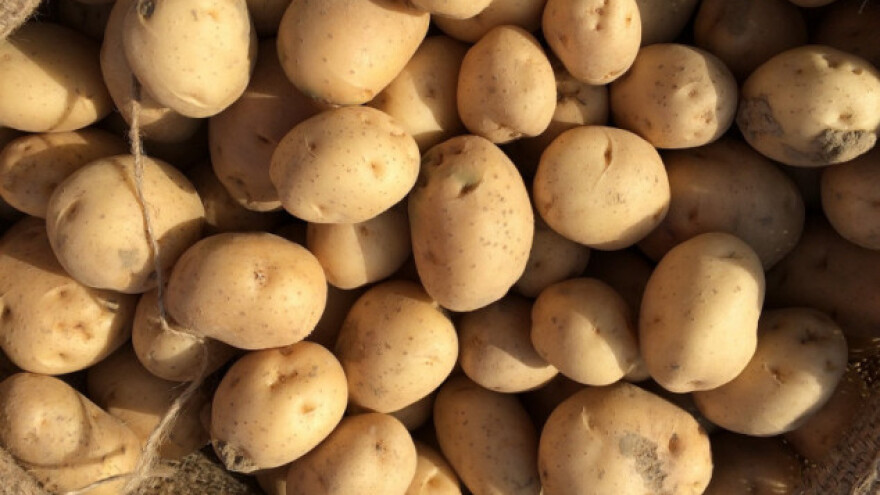 U Poljskoj krompiri najjeftiniji u EU