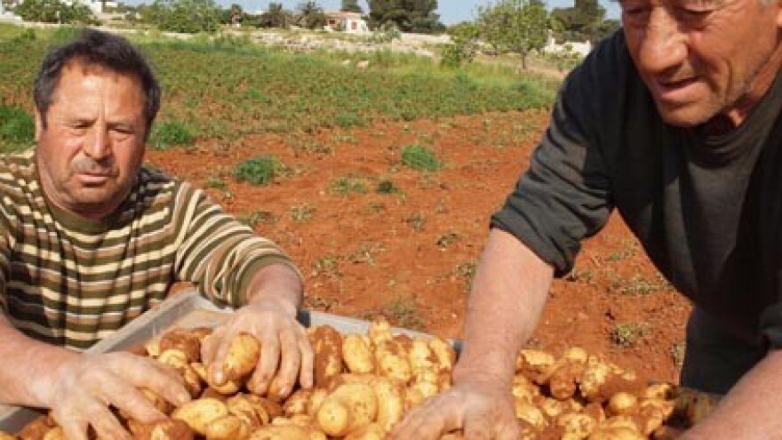 Zaštita geografskog porekla za italijanski krompir!