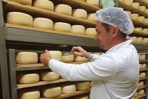 Velika potvrda kvalitete - Istarski ovčji sir Špin drugi najbolji na svijetu