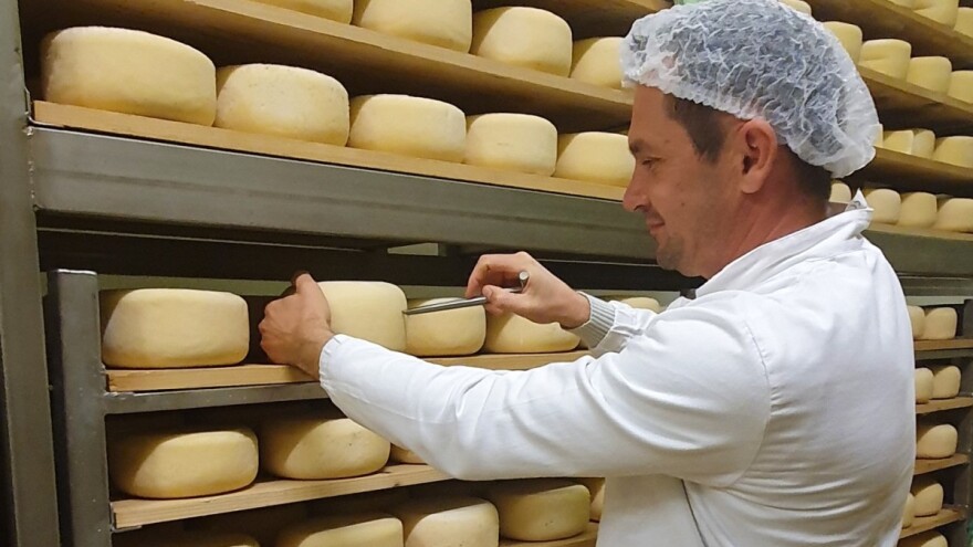 Velika potvrda kvalitete - Istarski ovčji sir Špin drugi najbolji na svijetu