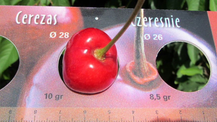 Voćarstvo naše nasušno