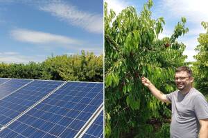 Krčedin: Do krupnih i slatkih trešanja uz solarno navodnjavanje