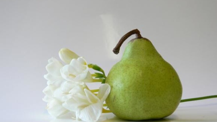 Kruške rastu u bocama