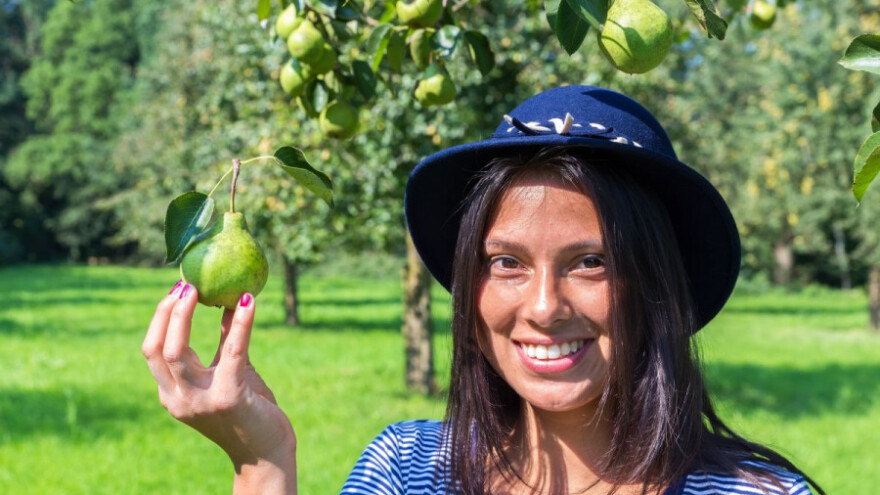 Rusija otvara vrata turskom voću, ali ne i rajčicama