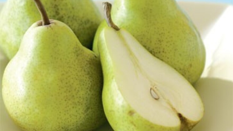 Zaštita jabuka i krušaka od krastavosti i mrljavosti