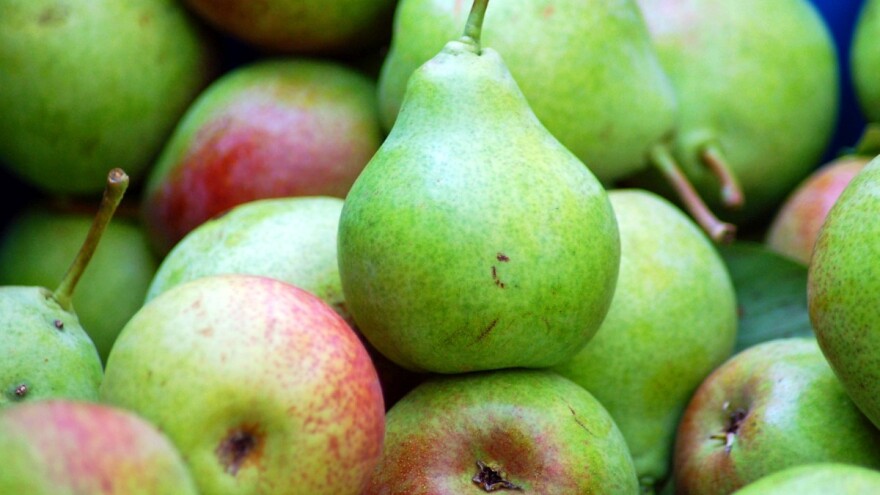 Erdevik: Kruškama dobro došlo zahlađenje