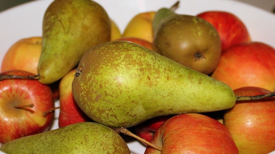 Autohtone sorte voća pogodne za organsko gajenje