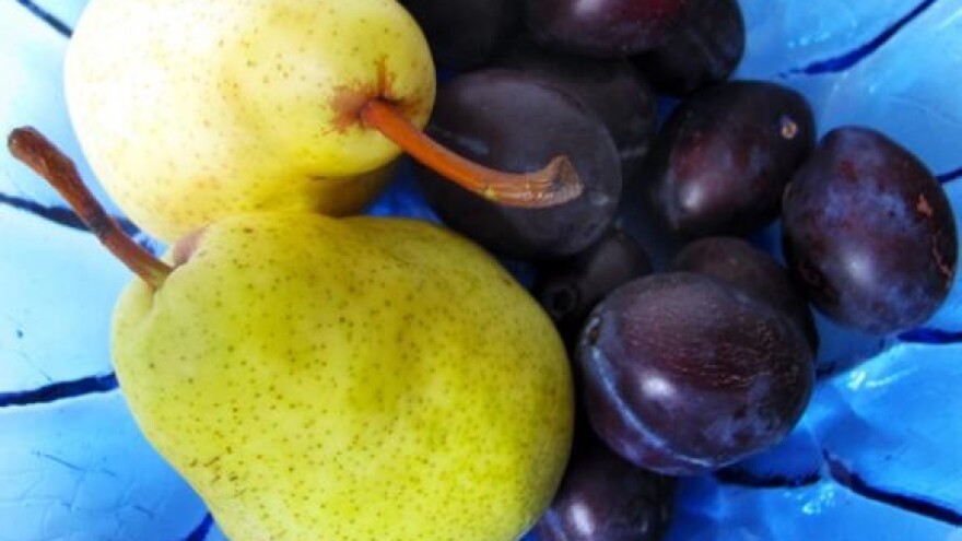 Dani šljiva i krušaka održani usprkos lošem vremenu