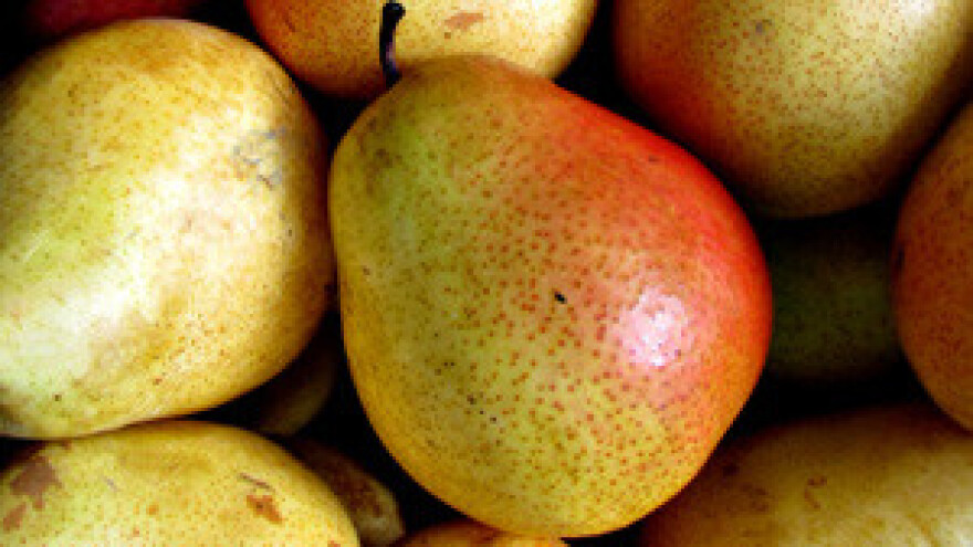 Uvezeno poljoprivrednih proizvoda za 10,5 milijardi kuna