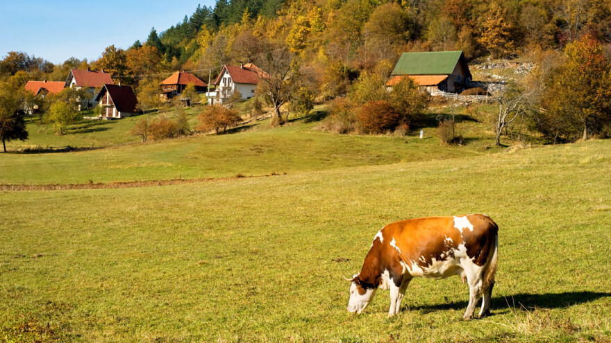 Umreženost organskih proizvođača, trgovaca i potrošača za pozitivan efekat na životnu sredinu