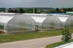 KTC traži kooperante krastavaca kornišona
