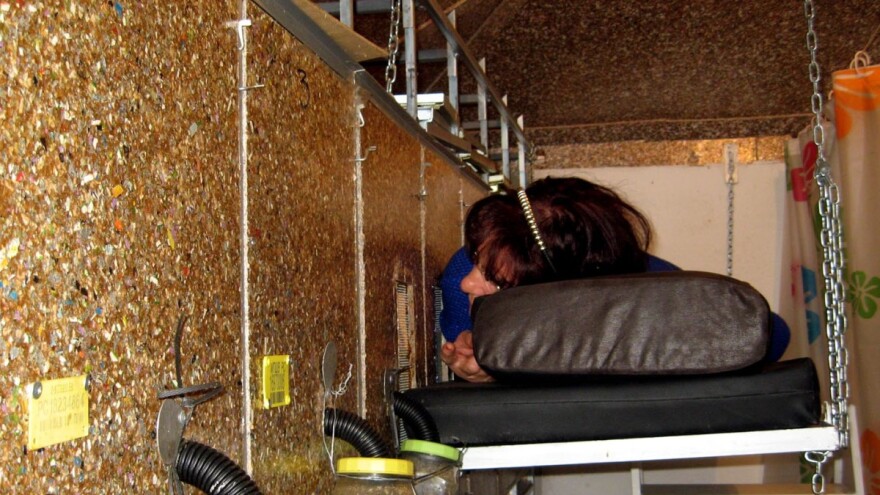 Kuća-košnica sa lekovitim vazduhom