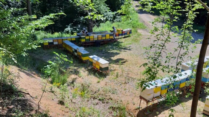 Kuća meda Županja nominirana za nagradu “Ambasador hrvatske hrane i poljoprivrede”