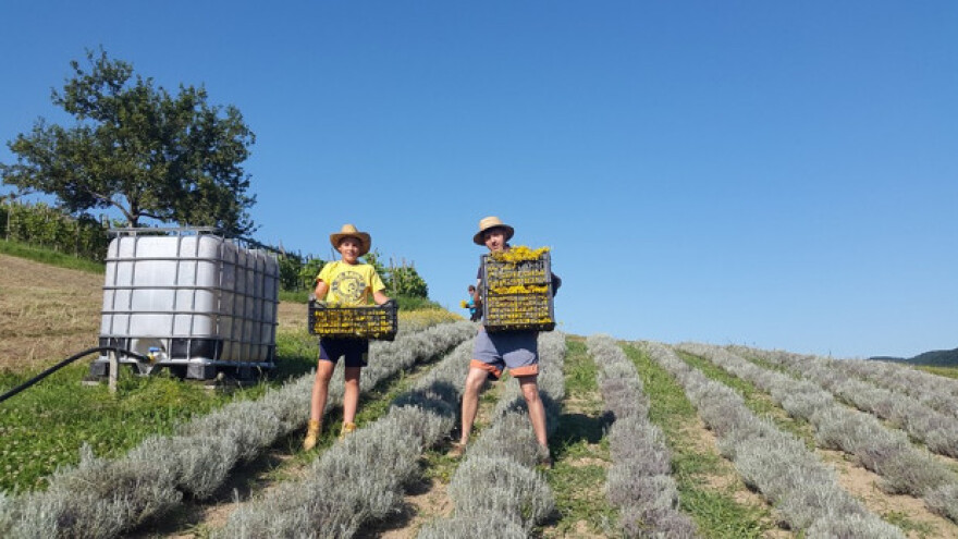 Pioniri organske kozmetike izvoze i u Finsku