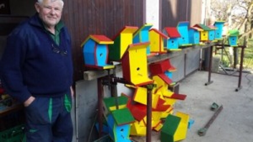 Privucite korisne ptice u voćnjak