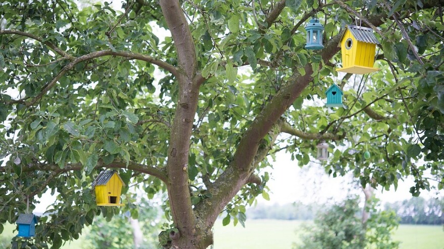 Biološke metode za borbu protiv štetnih organizama