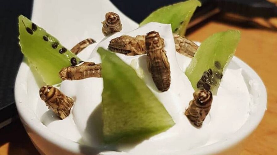 "Kukci na tanjuru" - znanstveno-stručni skup i degustacija