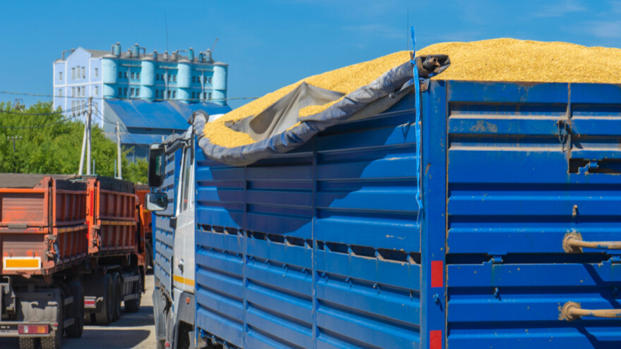 Kvote za izvoz 350.000 tona pšenice i kukuruza, bez carine na uvoz?