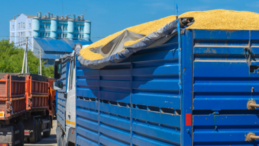 Kvote za izvoz 350.000 tona pšenice i kukuruza iz Srbije?