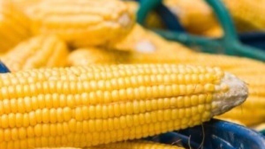 Što nam donose nova GMO pravila igre?