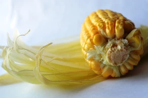 Nastavljena stagnacija cena