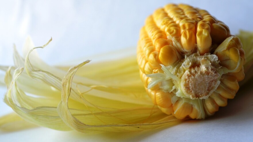 Nastavljena stagnacija cena