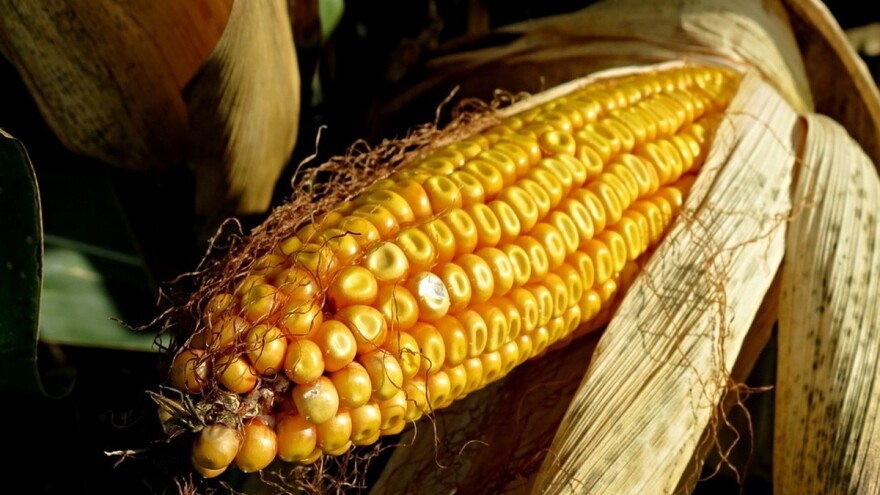 Trgovina sa klauzulom "gratis lager"