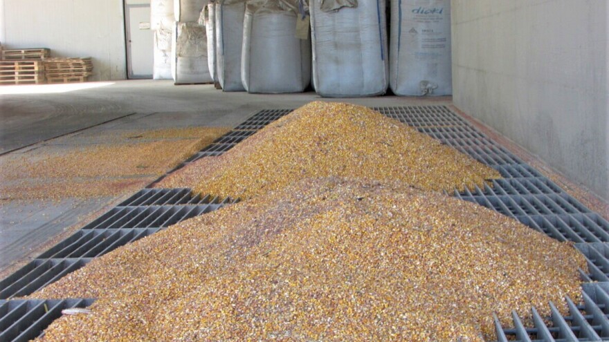 Pošta će poljoprivrednicima besplatno dostavljati seme za prolećnu setvu?