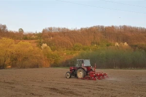 Setva kukuruza u Obrenovcu: Nedostatak vlage, ali ipak sve u optimalnom roku