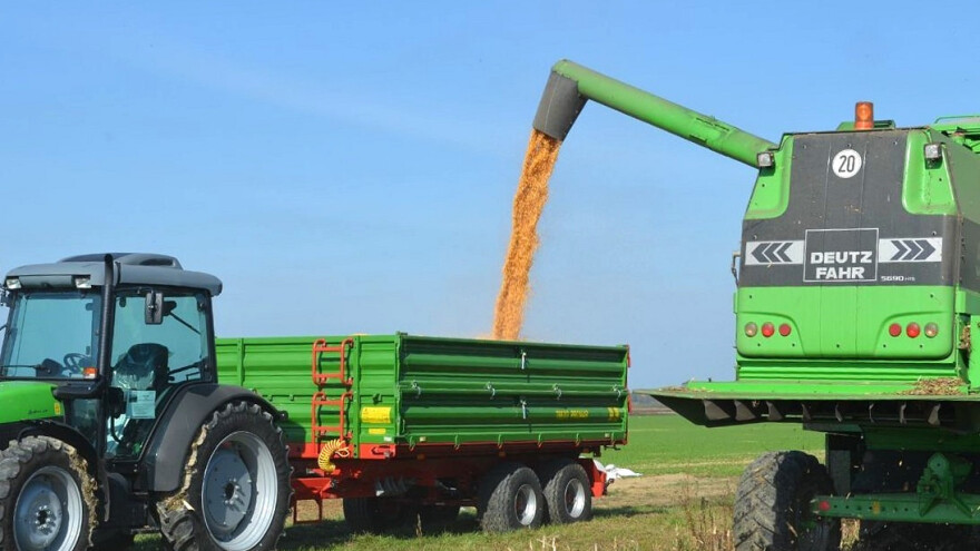 Izvoz pšenice iz EU skoro osam miliona tona: Cene padaju zbog suše i politike