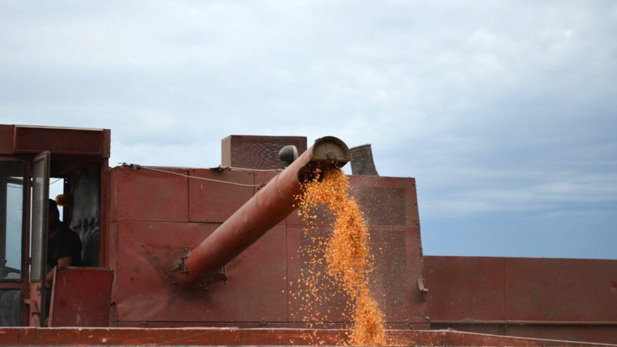 Oštre kritike agrarnoj politici EU: Mislili su na sve, samo ne na svoje poljoprivrednike