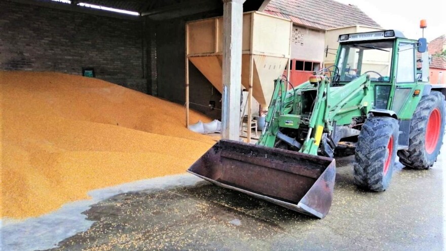 Robne rezerve kupuju dodatne količine merkantilnog kukuruza