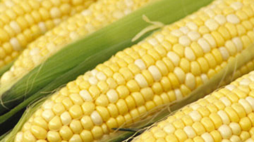 Obilježeno 130 godina Poljoprivrednog instituta Osijek