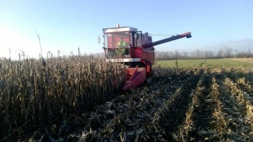 O kakvom mi to turizmu na selu sanjamo?