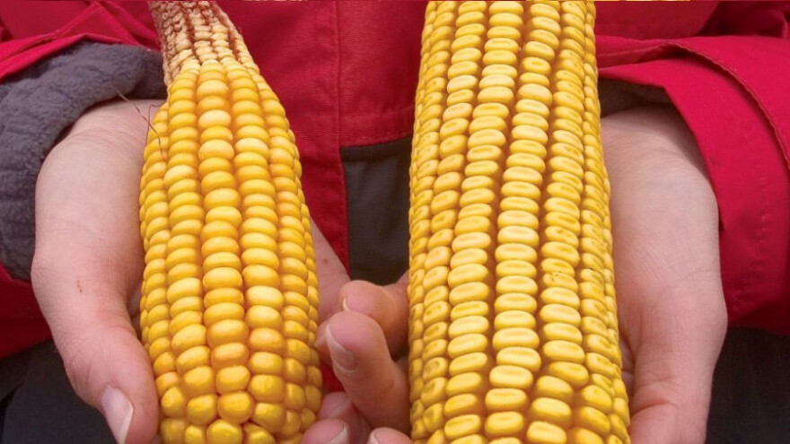 Nahranite tlo kalcizacijom - podiže pH i prinose