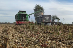 Manja tražnja - rast cena žitarica na Produktnoj berzi