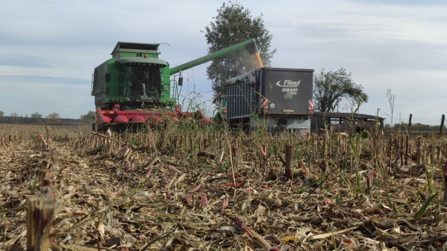 Manja tražnja - rast cena žitarica na Produktnoj berzi