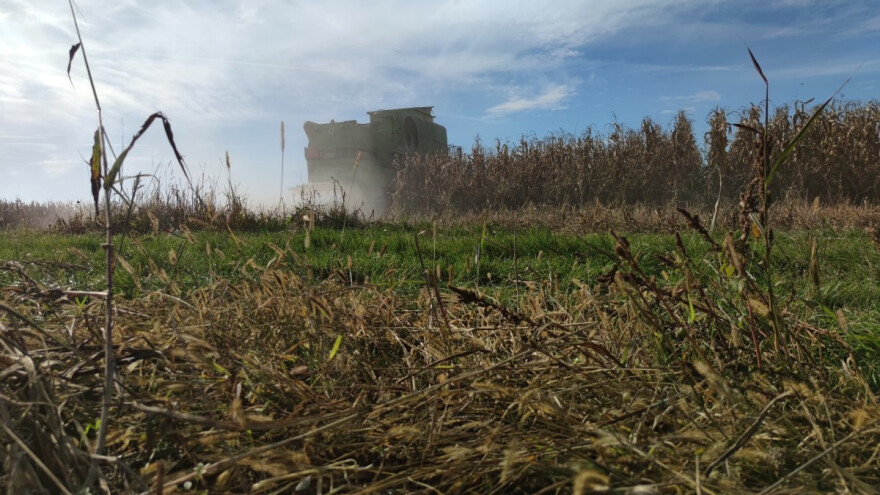 Poljoprivrednike se kažnjava s 5.000 kuna, a natječaja za zemljište nema - riješite to!