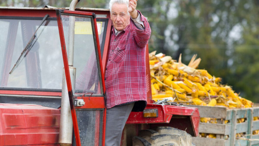 Ratari očekuju rekordne prinose kukuruza!