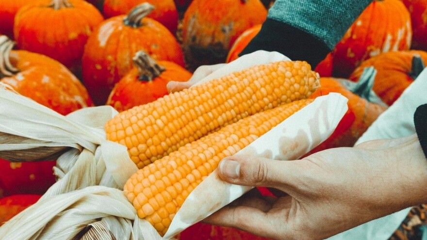 Uloga i značaj ekološke proizvodnje
