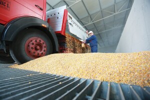 Farmofit: Proizvodnja stočne hrane odvija se bez poteškoća