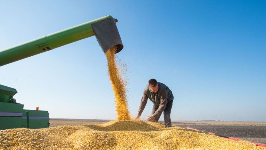 DZS: U prvih pet mjeseci izvoz poljoprivrednih i prehrambenih proizvoda porastao 16 posto