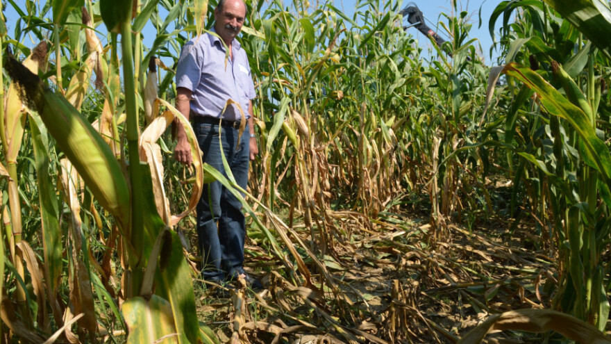 Kako divljač naučiti propise?