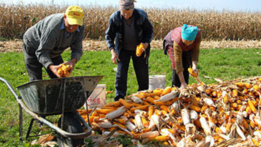 Otkupne cijene obavijene tajnom