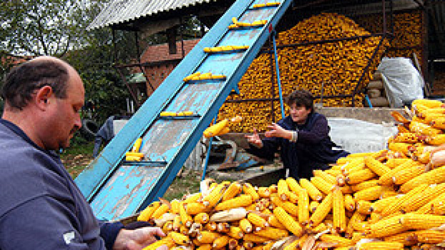 Cijene će biti niže od 75 lipa